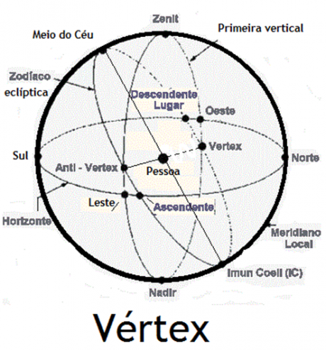 VertexMCAsc